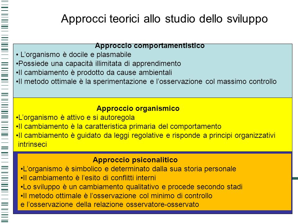 Le teorie dello sviluppo psicologico ppt video online scaricare